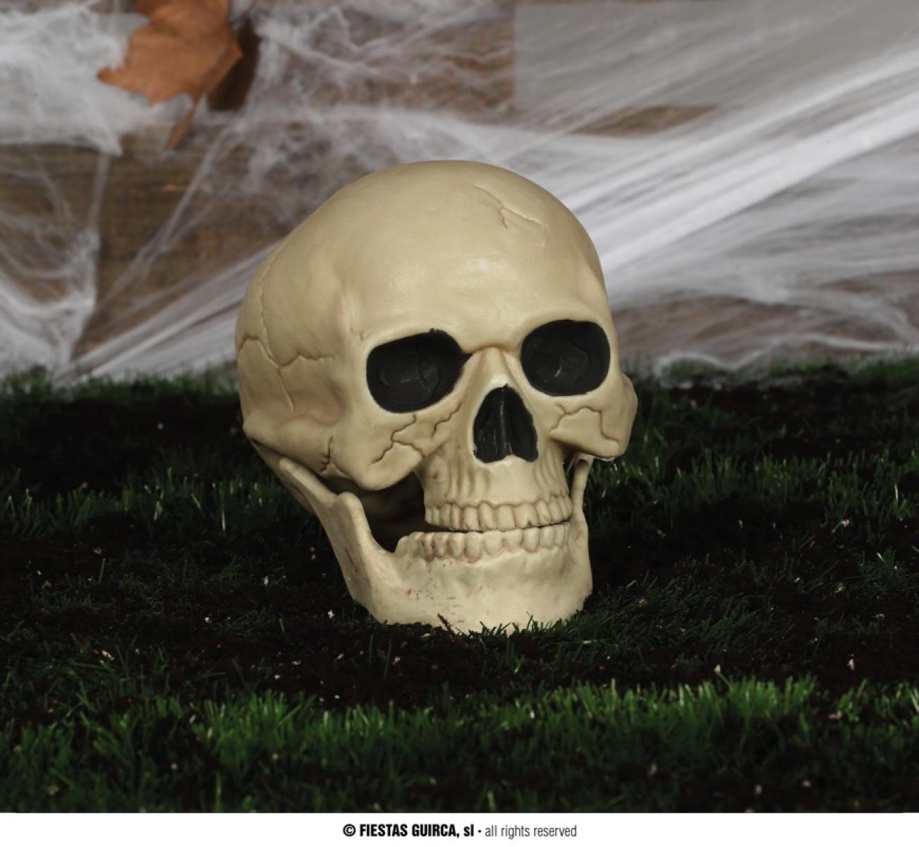 Crâne tête de mort 20 cm