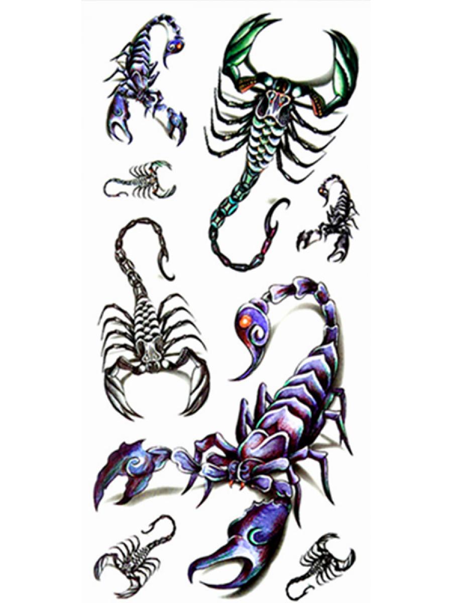 Tatouage temporaire scorpions couleur