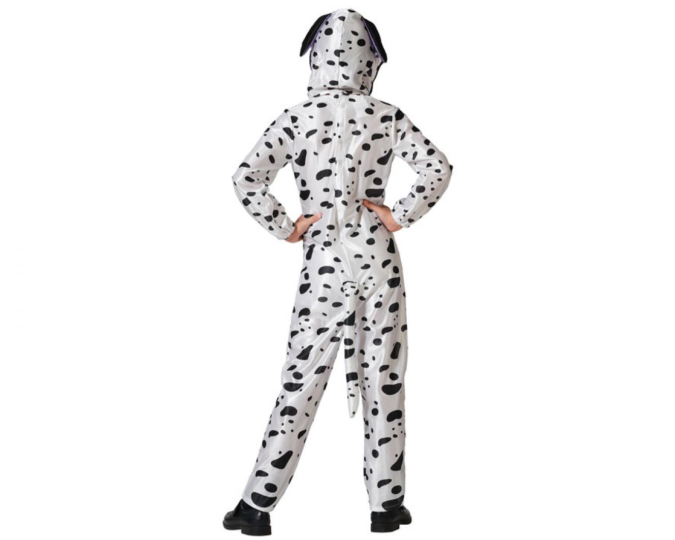 Chien dalmatien 7/9 ans