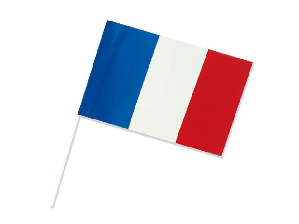 Drapeau France 16X9.5 cm