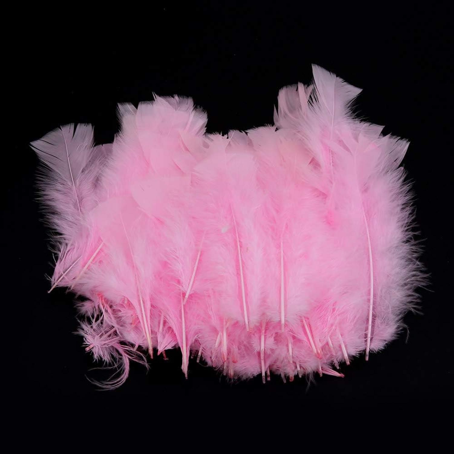 Sachet de plumes roses 10 grammes