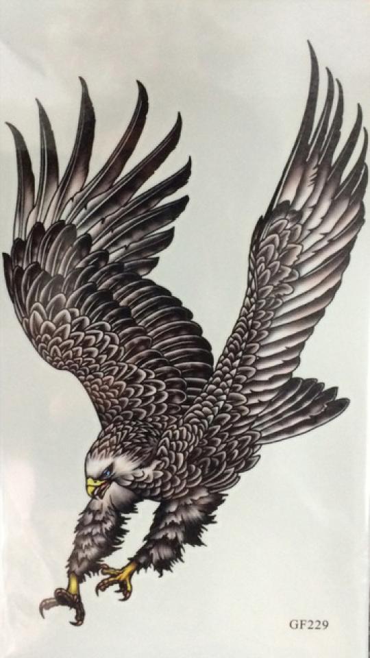 Tatouage temporaire aigle couleur