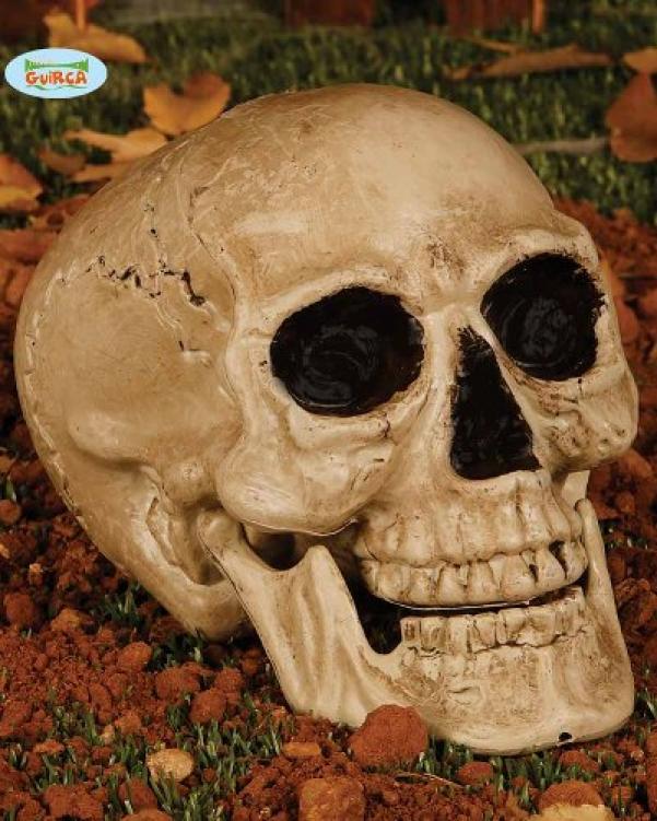 Crâne tête de mort 24 cm