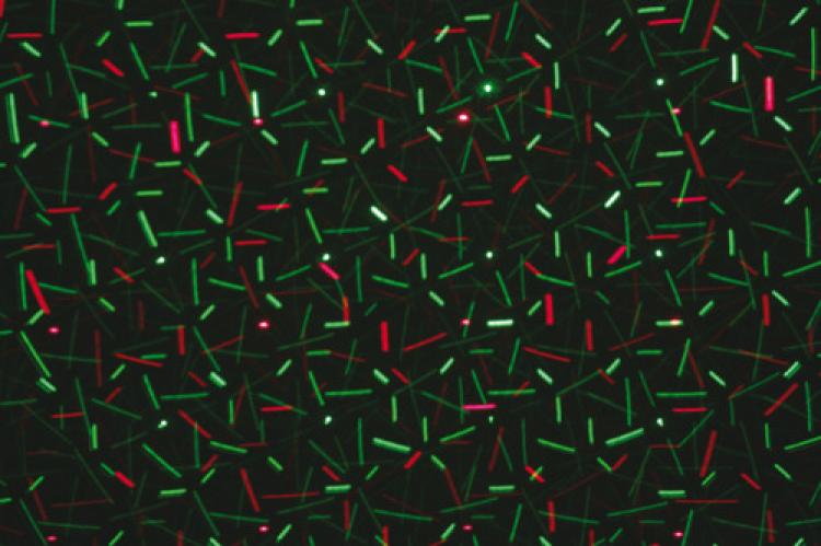 Mini laser Firefly 150mW rouge/vert