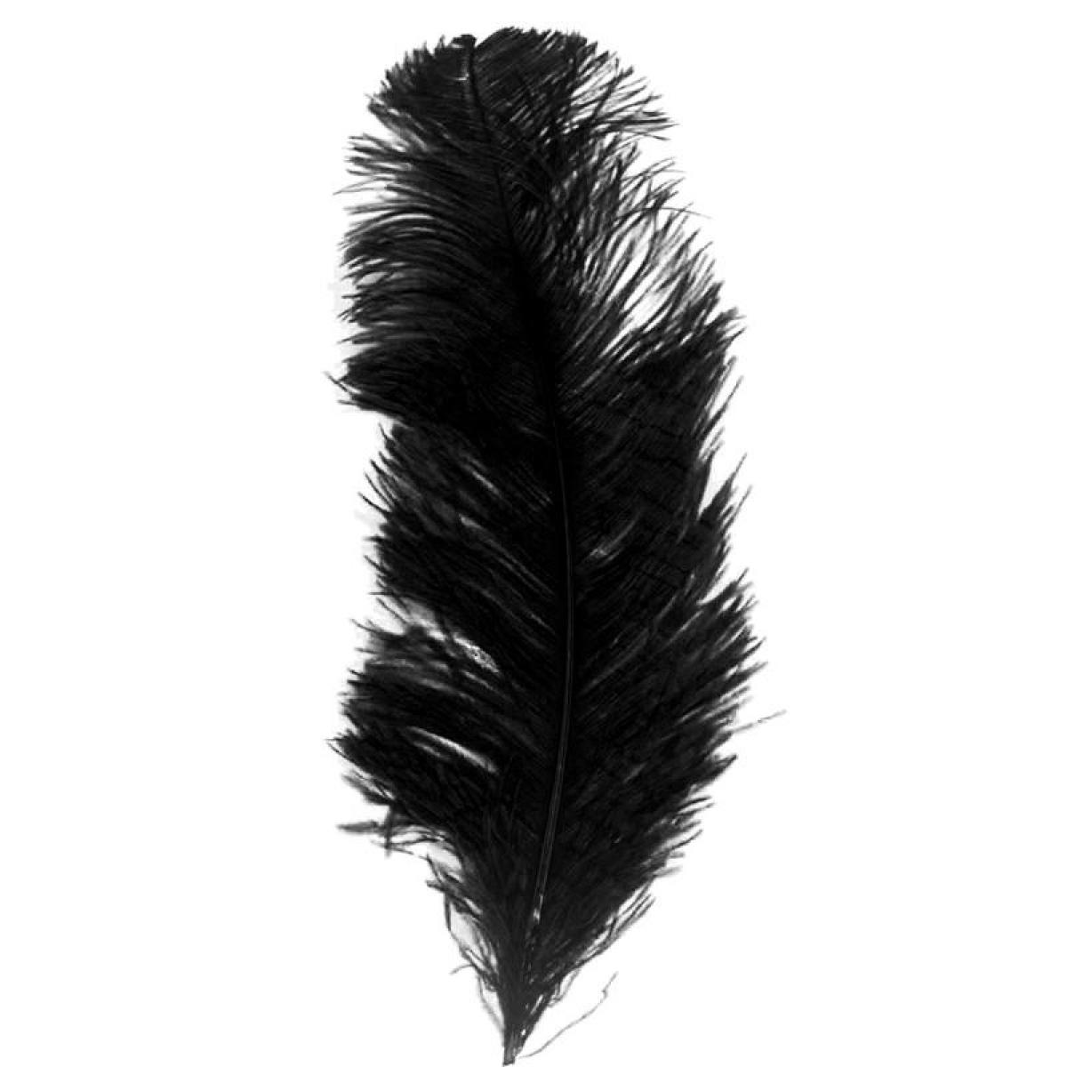 Plume queue d'autruche noire 28/32cm