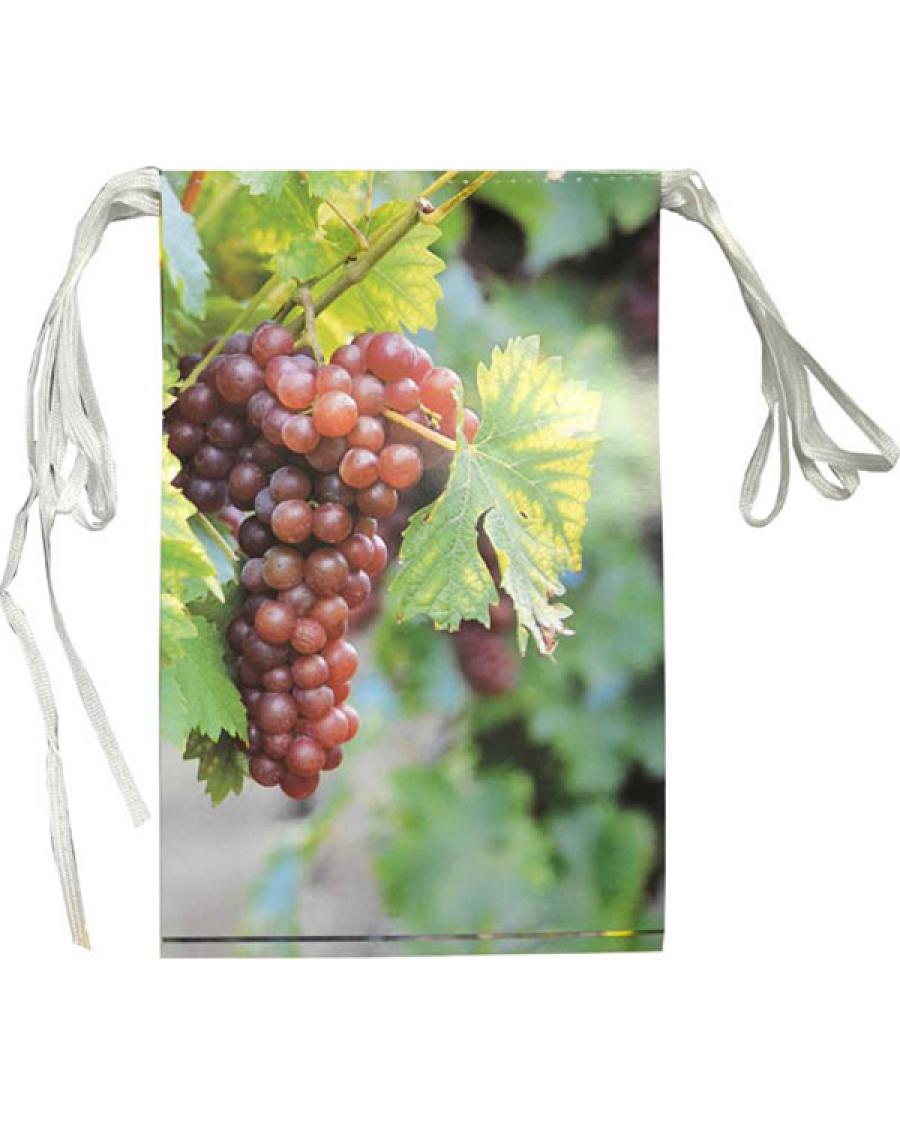 Guirlande 8 fanions raisins