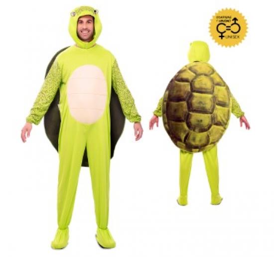 Tortue verte taille M/L