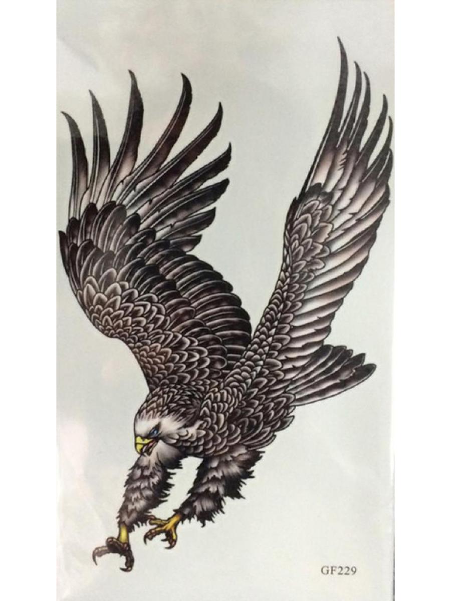 Tatouage temporaire aigle couleur