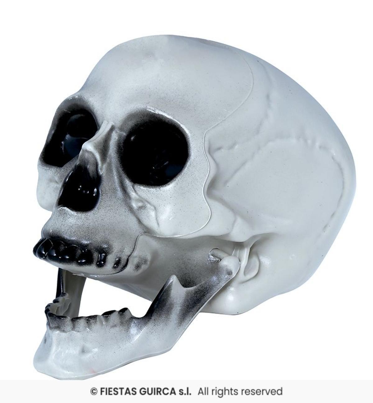 Crâne tête de mort 20 cm