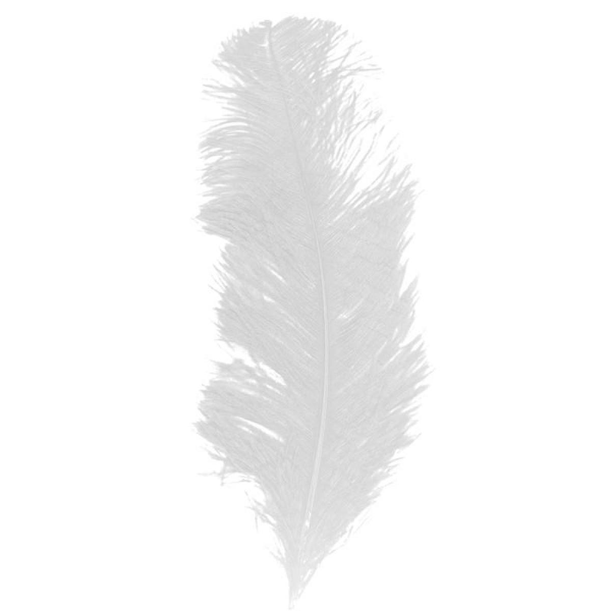 Plume queue d'autruche blanche 30/40 cm