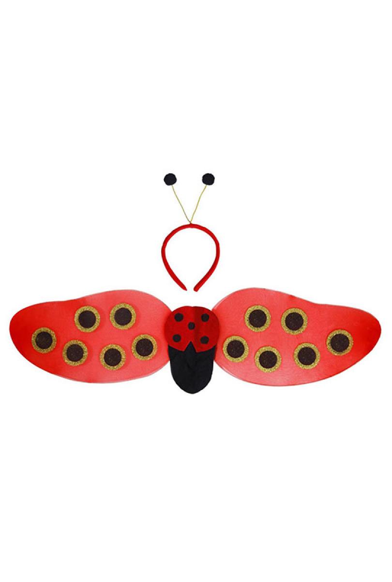 Set coccinelle adulte