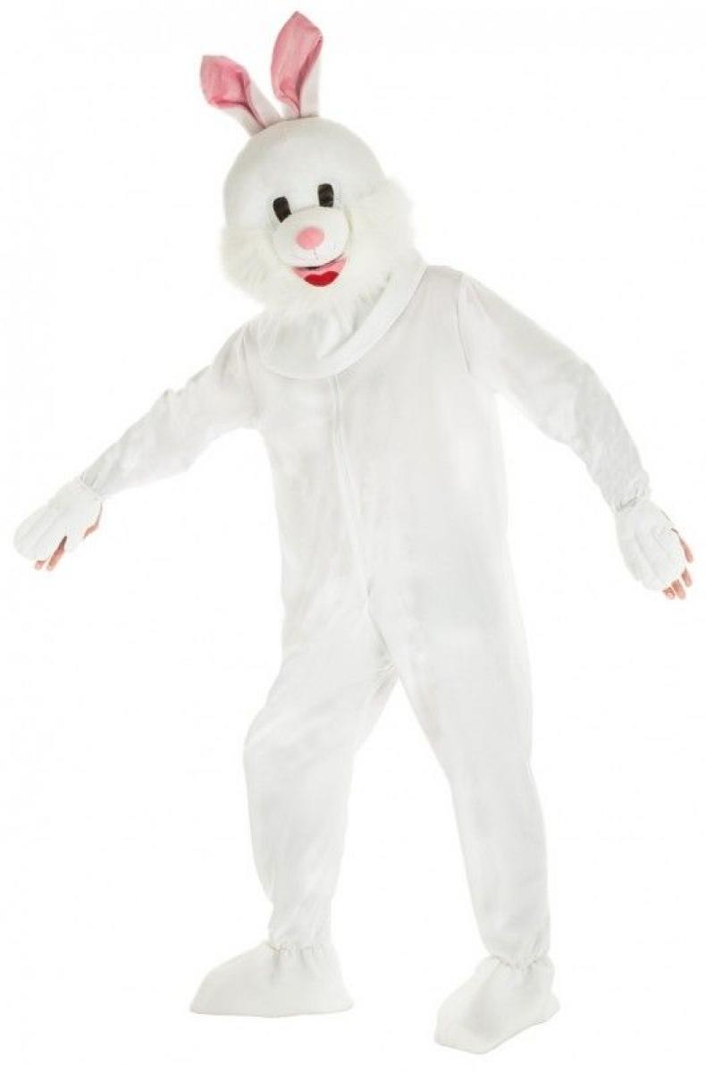 Lapin blanc à grosse tête