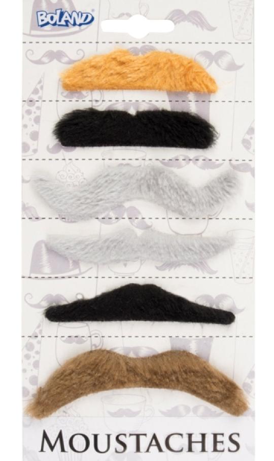 Set de 6 moustaches assorties