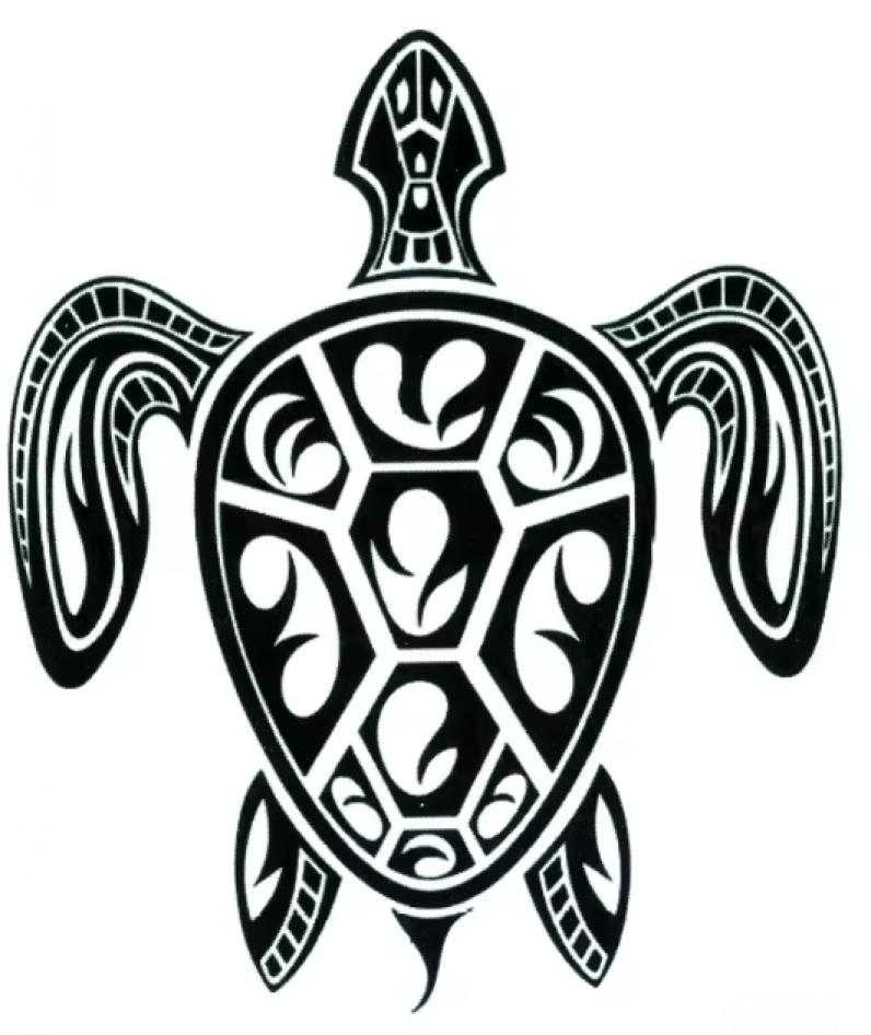 Tatouage temporaire tortue tribale
