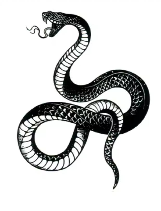 Tatouage temporaire cobra entier