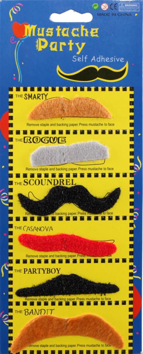 Set de 6 moustaches assorties