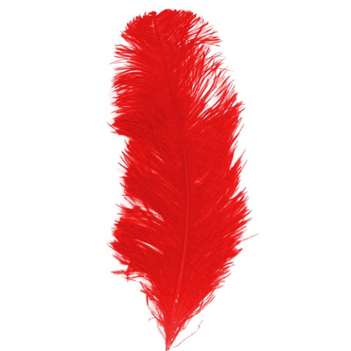 Plume queue d'autruche rouge 28/32cm