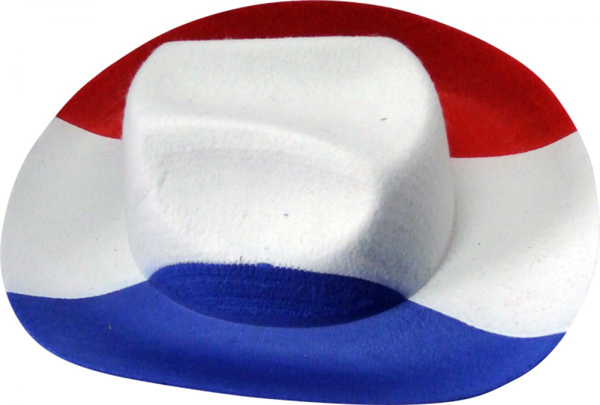 Chapeau de cowboy tricolore
