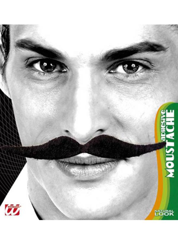 Moustaches Dali