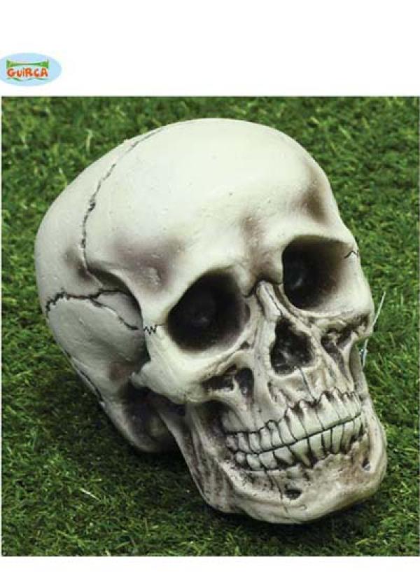 Crâne tête de mort 15x21 cm