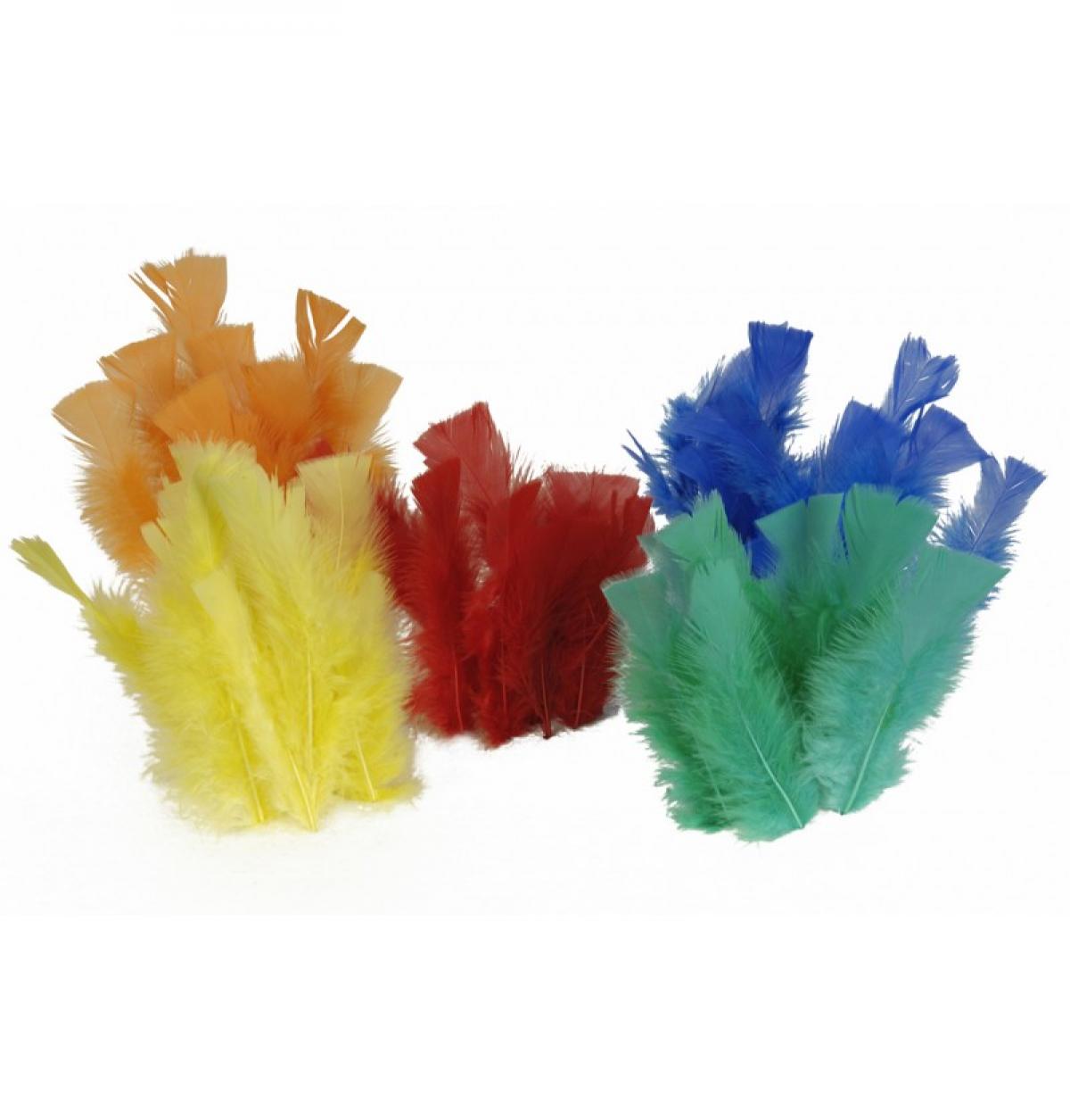 100 Plumes couleurs assorties de 10cm
