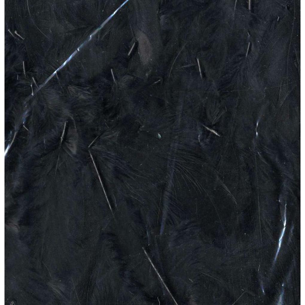 Sachet de plumes noires 10 grammes
