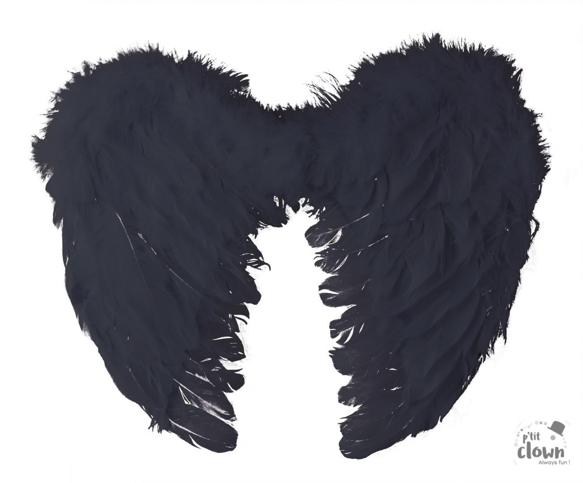 Ailes de démon plumes noires 40x32cm