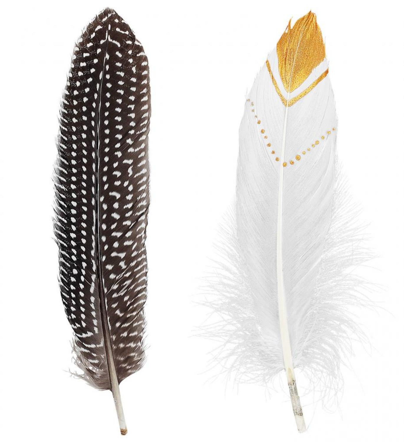 Sachet de 12 plumes indien rustiques