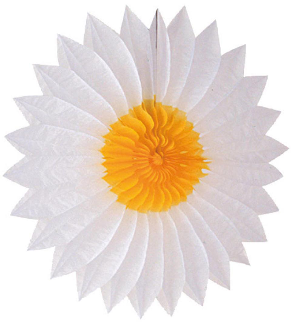Eventail Marguerite ou tournesol 50cm