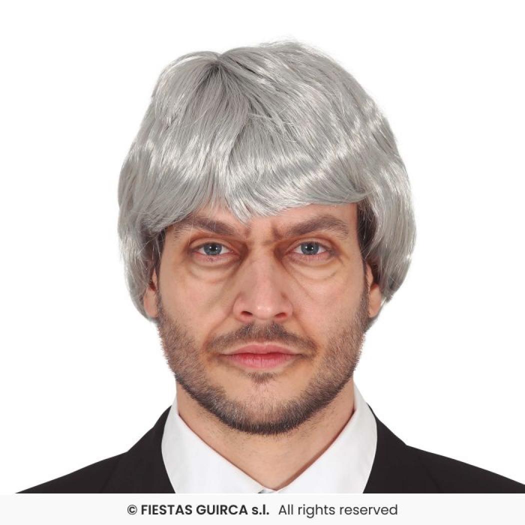 Perruque homme grise