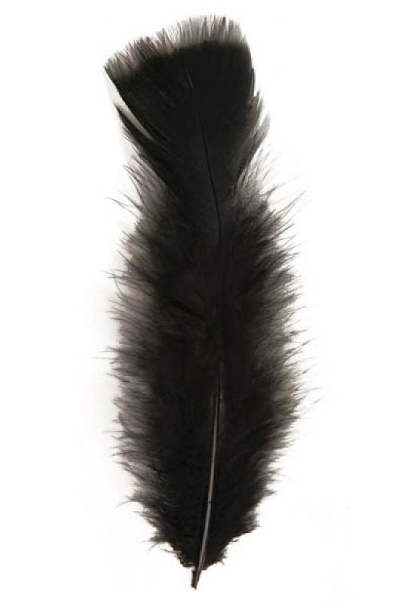 100 Plumes noires de 10 cm