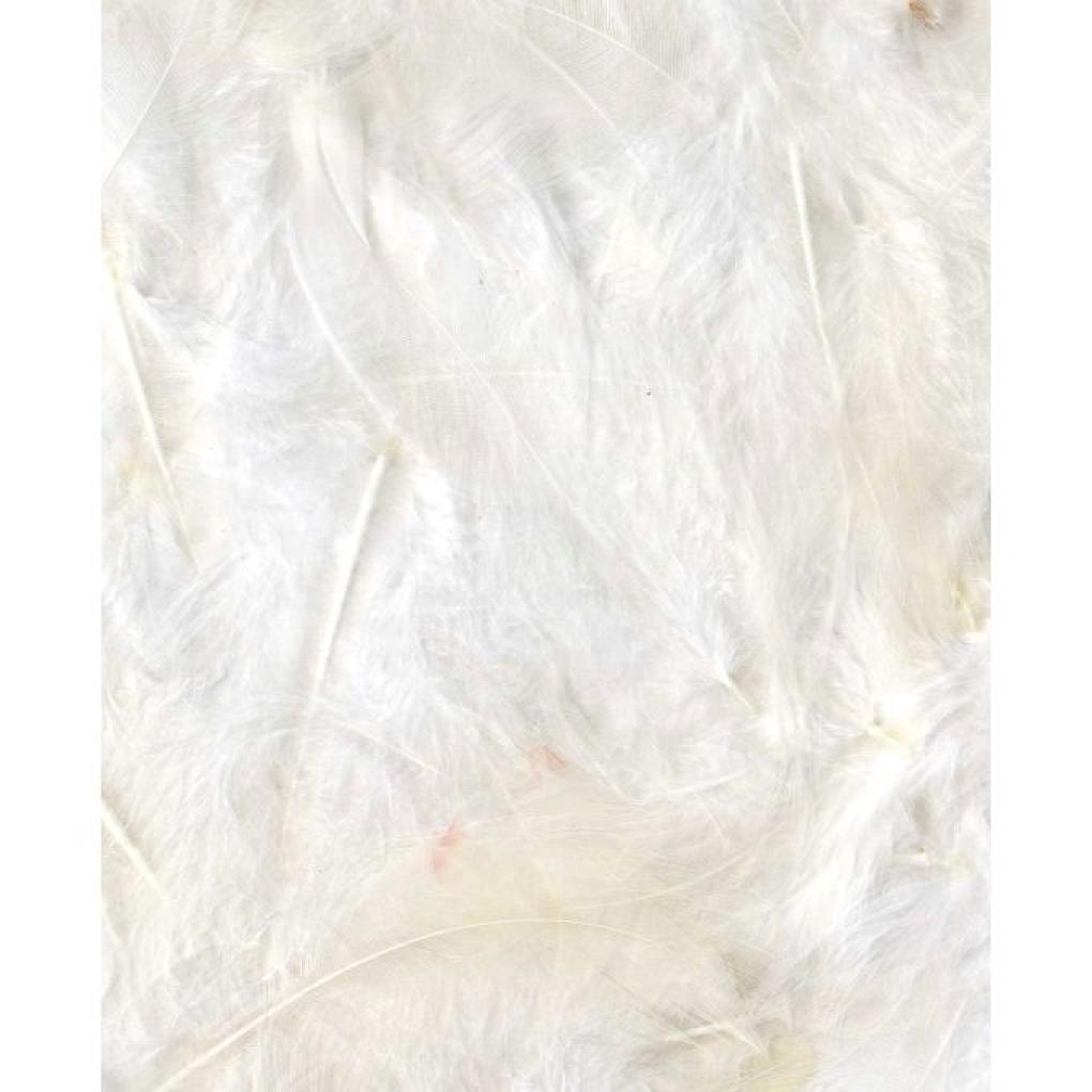Sachet de plumes blanches 10 grammes