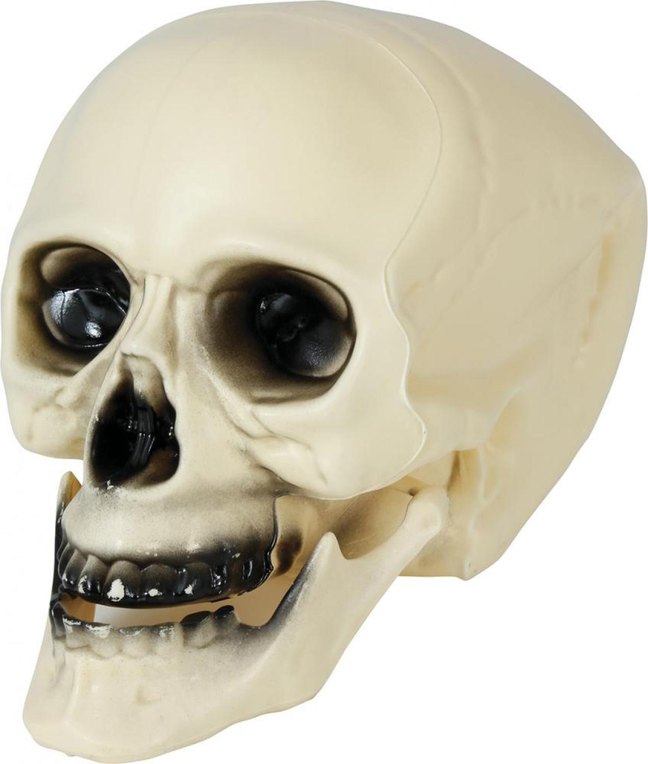 Crâne tête de mort 20 cm