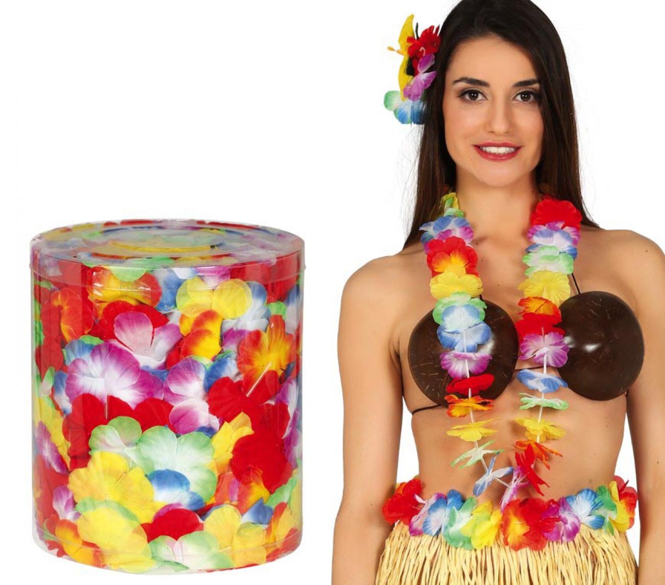 Boite de 25 colliers hawai