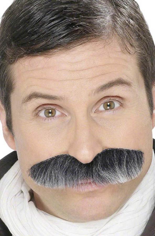 Moustaches grise