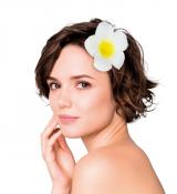 Lot de 2 fleurs de frangipanier pour cheveux