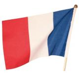 50 drapeaux France 14X21 cm