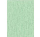 10 feuilles de papier crépon n°20 (vert pale)