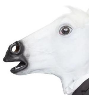 Masque cheval blanc