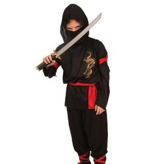 Ninja dragon 11/13 ans