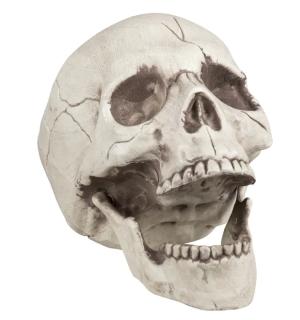 Crâne tête de mort 20 cm