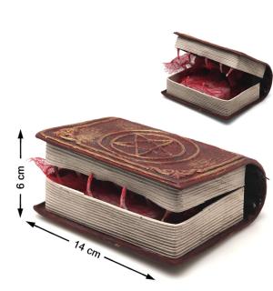 Livre animé mangeur avec dents animatronic sur piles 14x12x6cm