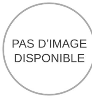 Dinosaure vert taille 7/9 ans