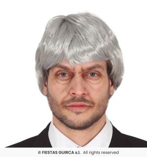 Perruque homme grise